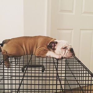 Meet your Posher, Matthew